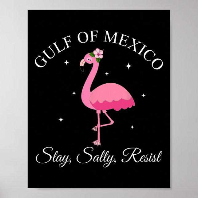 Affiche Le Golfe Du Mexique Reste Sally Résister (Devant)