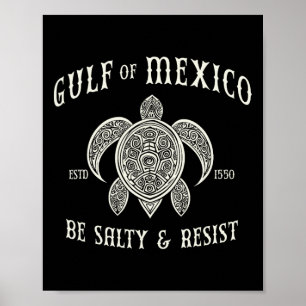 Affiche Le Golfe Du Mexique Soit Salé Et Résiste 1