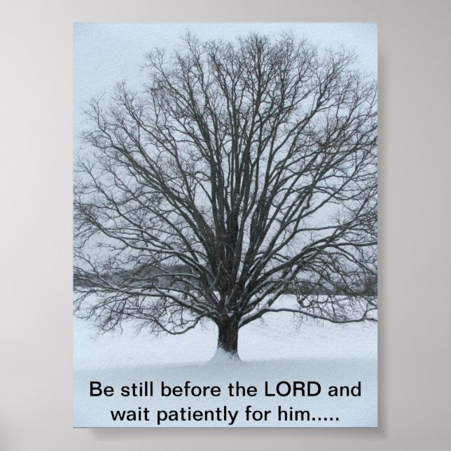 Affiche Le grand chêne (Devant)