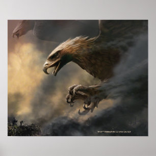 Affiche Le grand concept d'Eagles