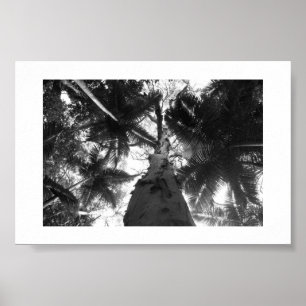 Affiche Le gris au-dessus de l'Australie Photo noir et bla