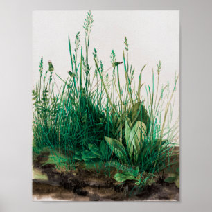 Affiche Le gros morceau de Turf par Albrecht Durer