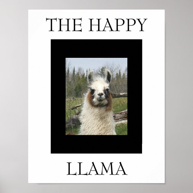 AFFICHE LE HEUREUX LAMA (Devant)