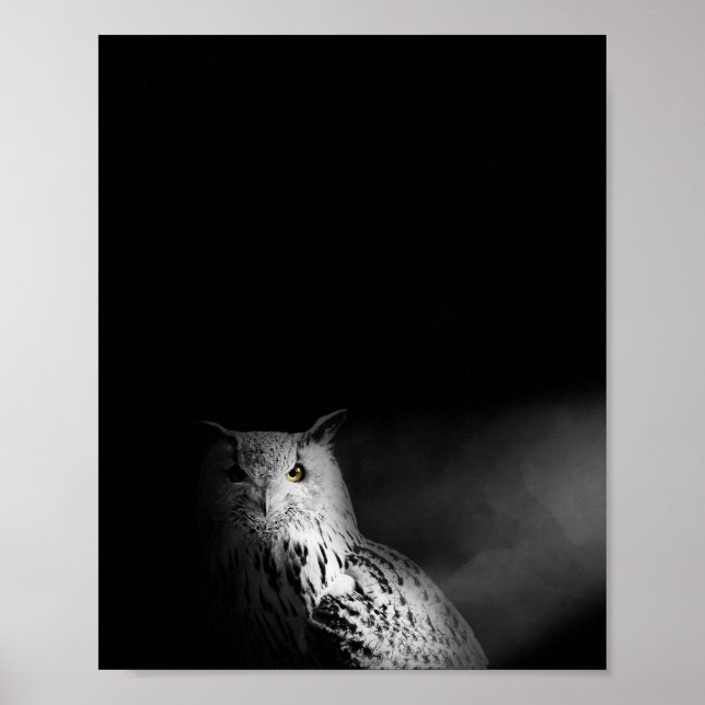 Affiche Le hibou, noir et blanc, photo (Devant)