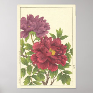 Affiche Le Japonais de pivoine de Nishimura Hodo fleurit