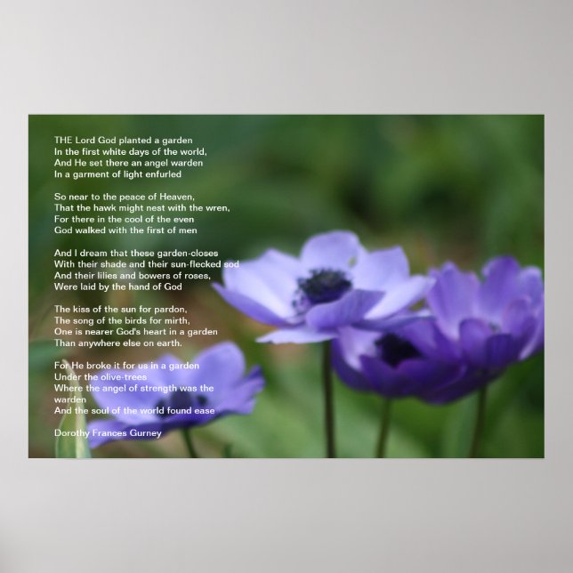 Affiche Le jardin de Dieu (Devant)