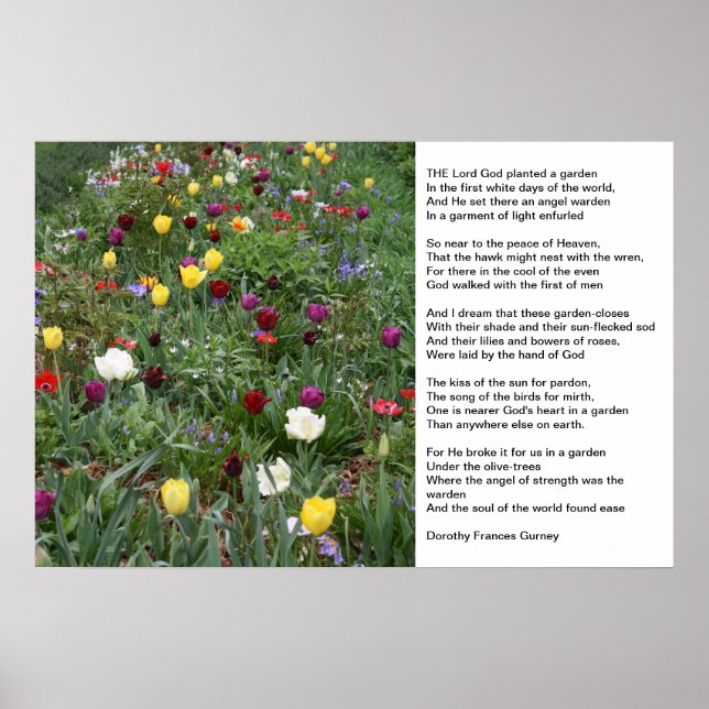 Affiche Le jardin de Dieu (Devant)