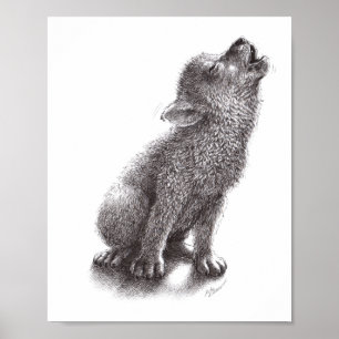 Affiche Le jeune loup hurle sur la lune.