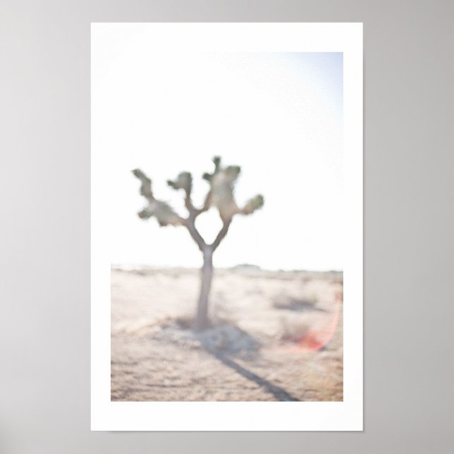 Affiche Le Joshua Tree (Devant)