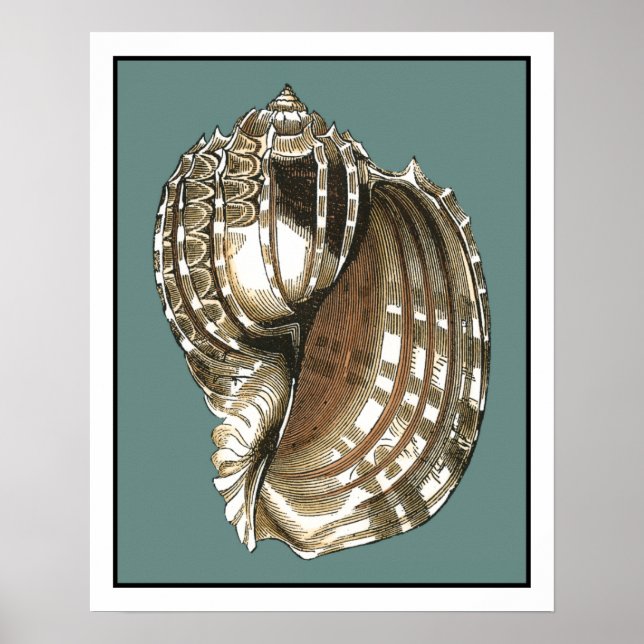 Affiche Le joyau de l'océan (Devant)