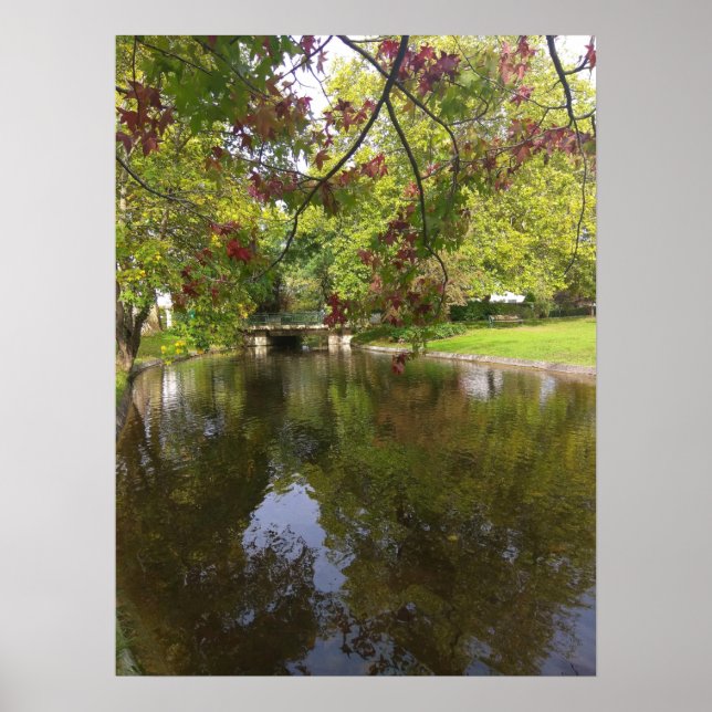 Affiche Le lac Forestier (Devant)