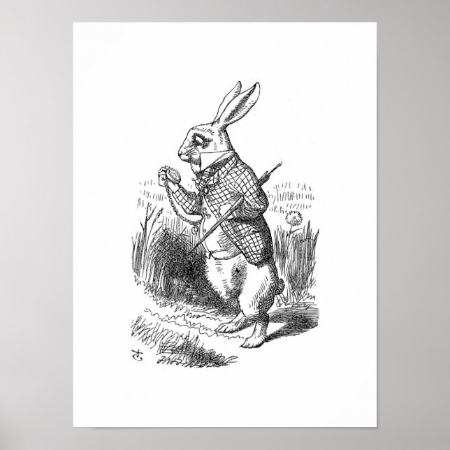 Affiche Le lapin blanc (Devant)