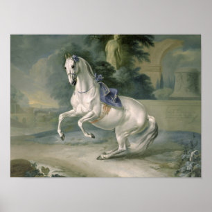 Affiche Le levade "Leal" blanc d'en d'étalon, 1721