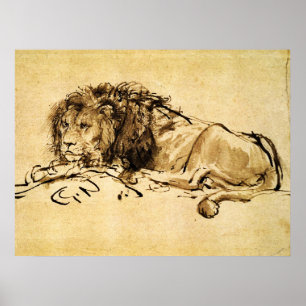 Affiche LE LION DU CAP ALLONGÉ, par Rembrandt Sépia, Noir