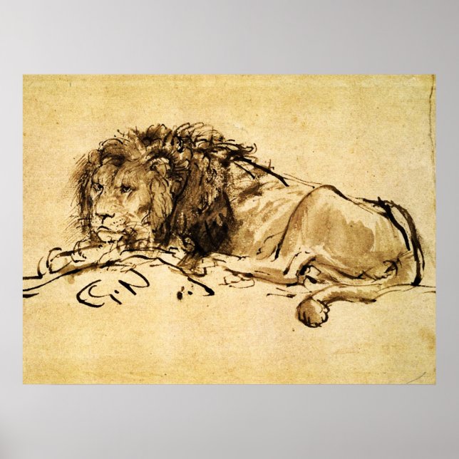 Affiche LE LION DU CAP ALLONGÉ, par Rembrandt Sépia, Noir (Devant)