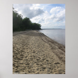 Affiche "Le long de la plage"