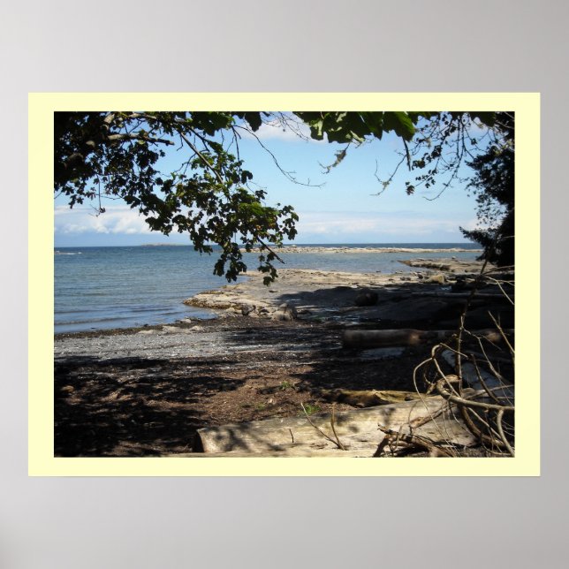 Affiche Le long de l'océan (Devant)