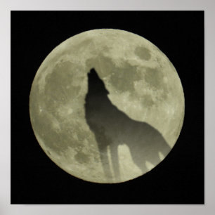 Affiche Le loup d'hurlement