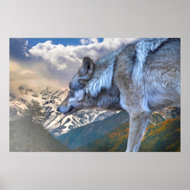 AFFICHE LE LOUP SEUL SURPLORE LA LIBERTÉ (Devant)