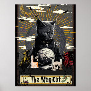 Affiche Le MagiCat