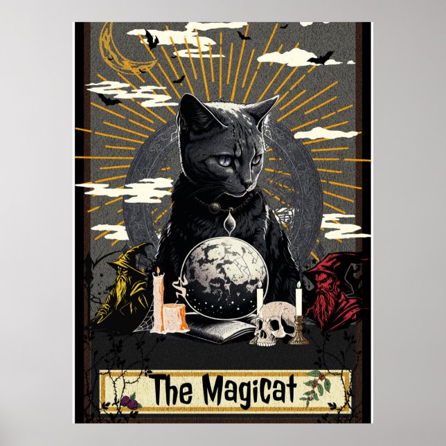 Affiche Le MagiCat (Devant)