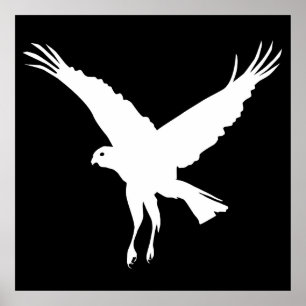 Affiche Le marais volant plus rude