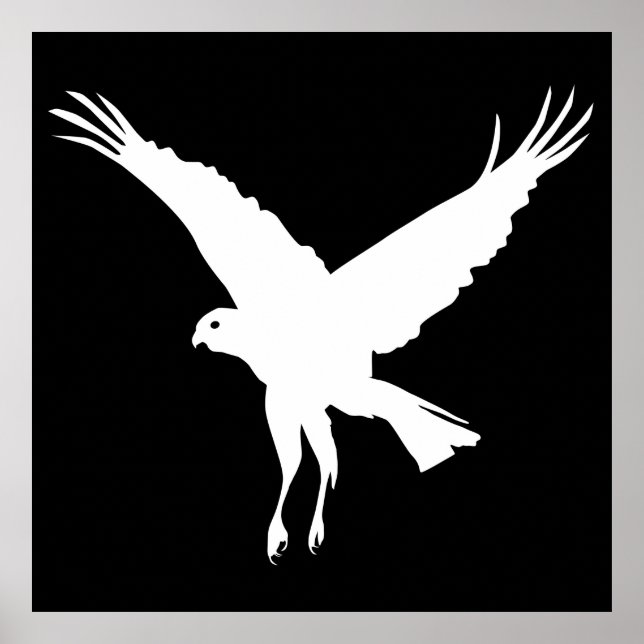 Affiche Le marais volant plus rude (Devant)