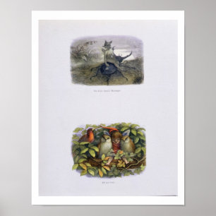 Affiche Le Messager de la Reine des Fées, et Elfe et Choue