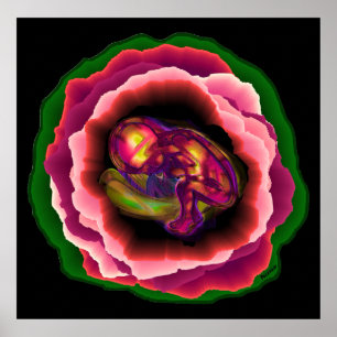 Affiche Le miracle de la vie