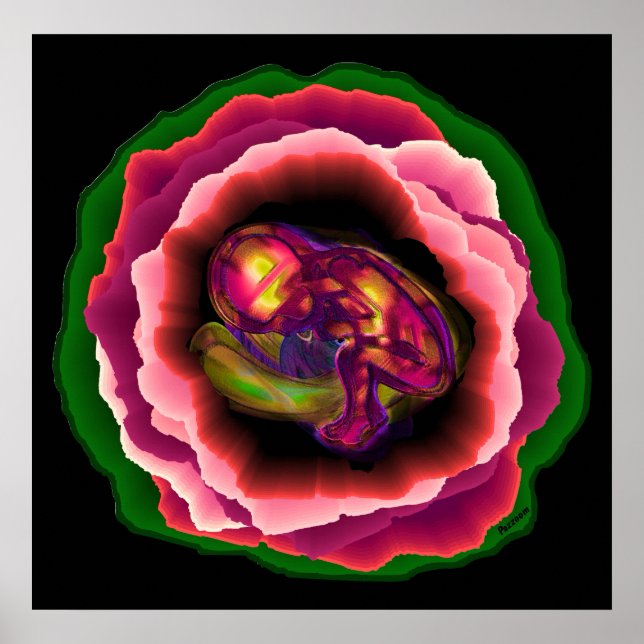 Affiche Le miracle de la vie (Devant)