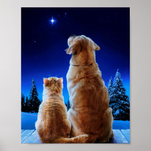 Affiche Le Miracle de Noël des chats et des chiens