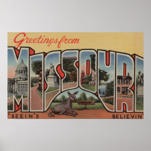 Affiche Le Missouri (le Believin') de Seein - grande