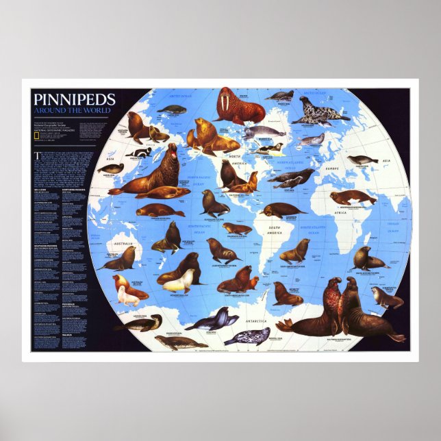 Affiche " Le monde : 1987 Pinniped around the World ... (Devant)