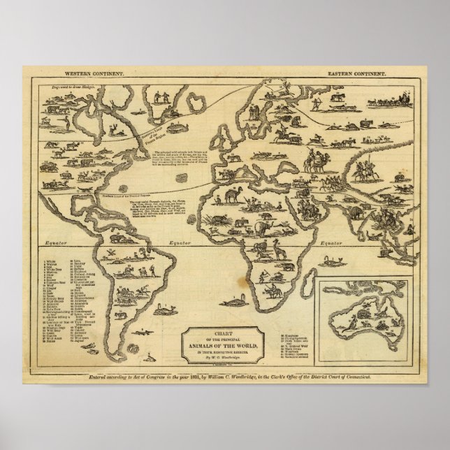 Affiche Le monde des animaux (Devant)