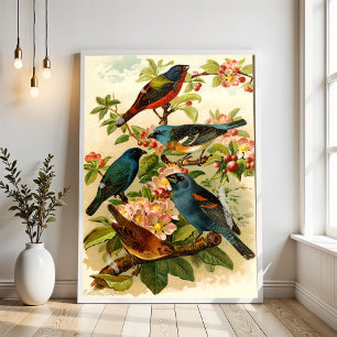 Affiche Le monde des oiseaux d'Amérique du Nord, Gustav Mu