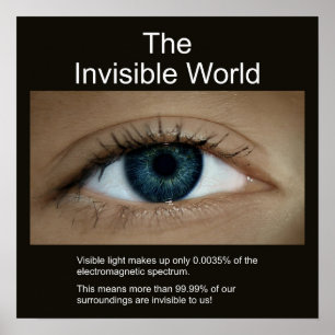 Affiche Le monde invisible