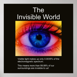 Affiche Le monde invisible