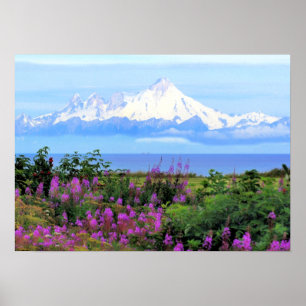 Affiche Le mont Iliamna Alaska