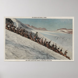 Affiche Le mont Rainier, WA - ligne des personnes Sledding