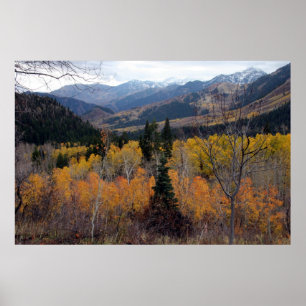 Affiche Le mont Timpanogos, Utah