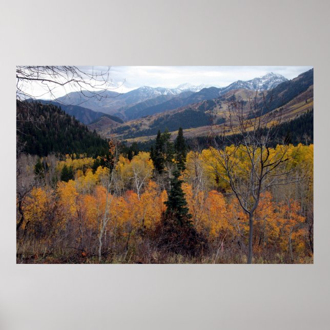 Affiche Le mont Timpanogos, Utah (Devant)