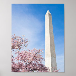 Affiche Le monument de Washington