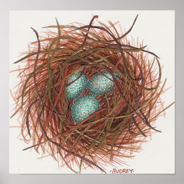 Affiche Le nid de Robin (Devant)