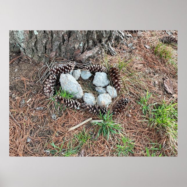 Affiche Le nid d'Izzy (Devant)