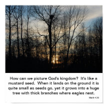 Le nid du Royaume de Dieu