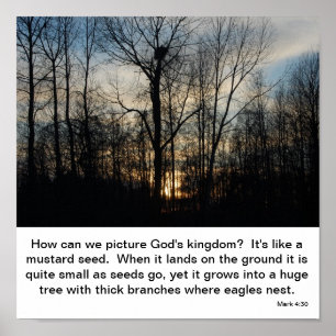 Affiche Le nid du Royaume de Dieu