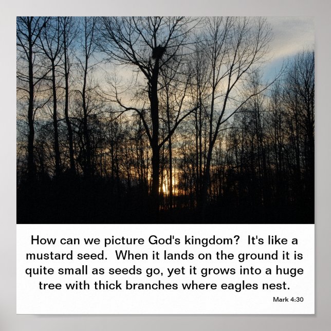 Affiche Le nid du Royaume de Dieu (Devant)