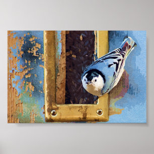 Affiche Le Nuthatch