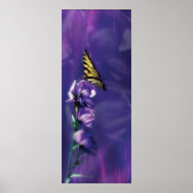 Affiche le papillon (Devant)