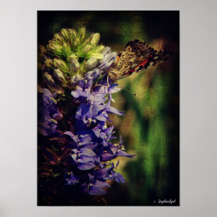 Affiche Le papillon et les fleurs violettes